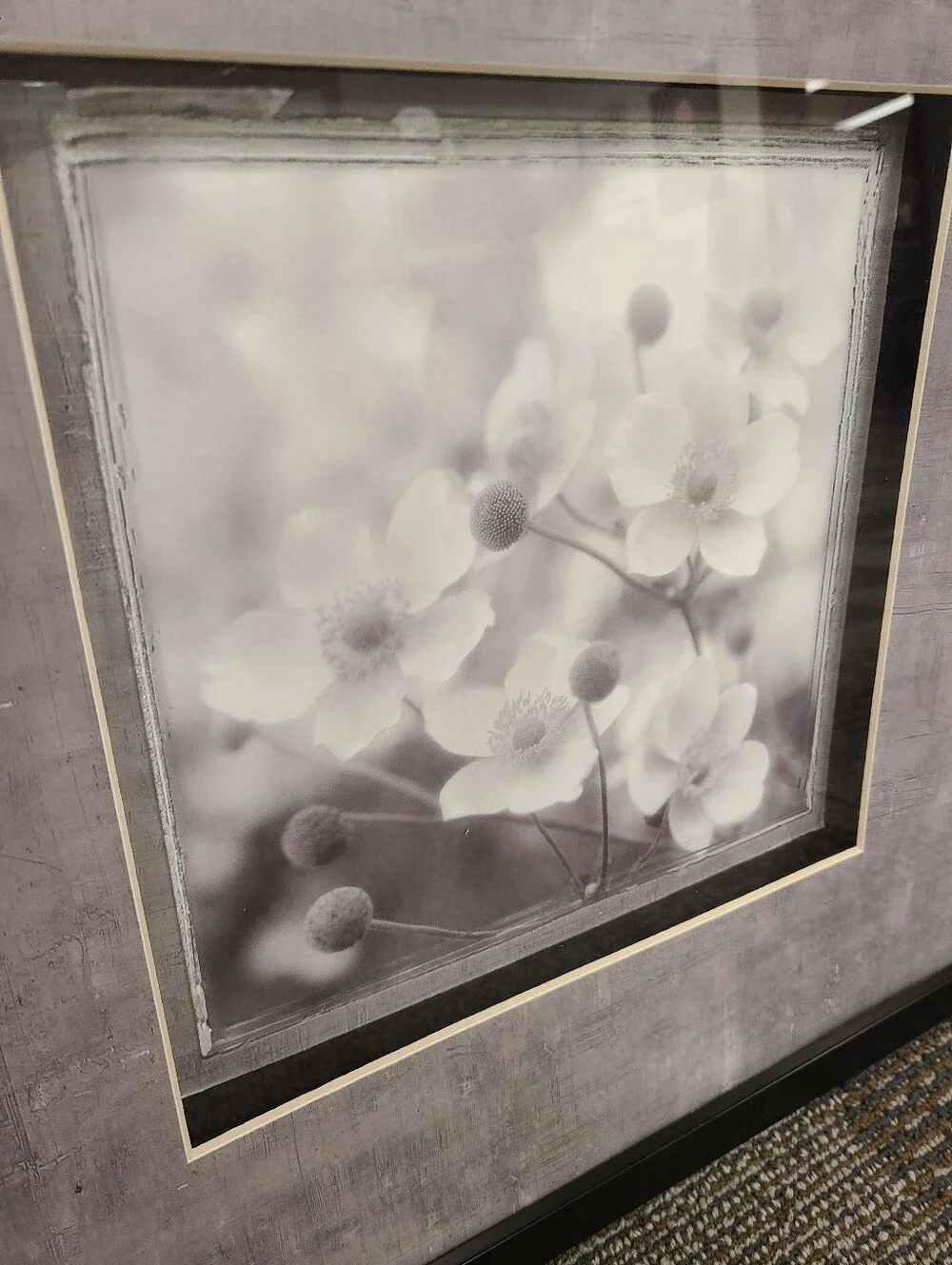 Framed Floral Wall Art in Black and White